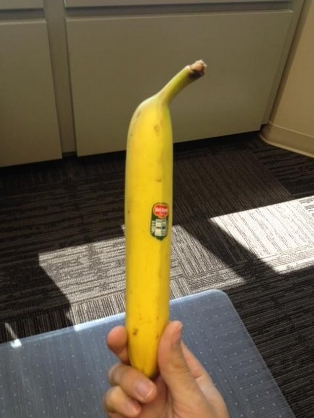 Вибратор Дома 2