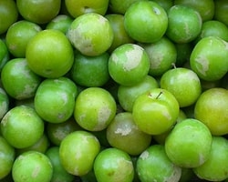 Yeşil Eriğin Kilosu 500 Lira, Üç Tanesi 25 Lira!