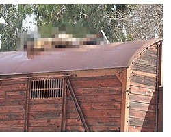 Vagon üstünde fotoğraf çekilirken öldü