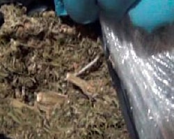 Güven timi 35 kilo uyuşturucu ele geçirdi