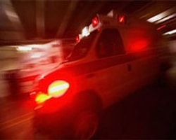 Arıların Saldırısı Öldürüyordu