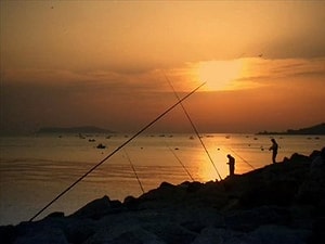 ahmet selim yurdagül Yazar Profil Resmi