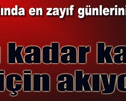 Bu Kadar Kan Ne İçin Akıyor?