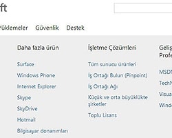 Surface Sonunda Ortaya Çıktı!