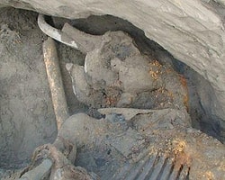 30 Bin Yıllık Mamut Fosili Bulundu