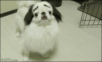 s-d6fee05a7f7d171c872b43b80b53bfaaf33e1042.gif