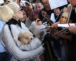Peta Lady'i 'Gaga'ladı