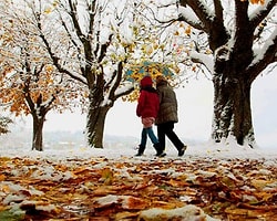 Meteoroloji Genel Müdürlüğü | Günlük Rapor