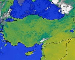 Bu Haber Milyonlarca Kişiyi Sevindirecek!