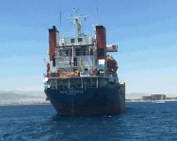 Yeni Yıla Özgür Girecekler