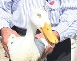 Yurdum İnsanı Bu Yıl Da İşbaşındaydı