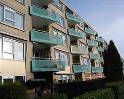 Hollanda'da Türk Ailenin Evi Kundaklandı