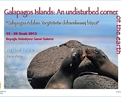 Galapagos Adaları Fotoğraf Sergisi