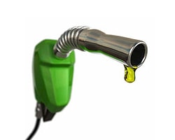 Motorine Zam Geldi