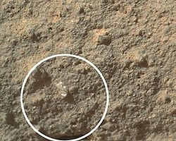 Mars Çiçeği mi Bulundu ?