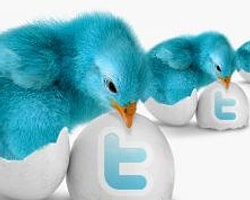 Tweet Atmadan Önce İki Kere Düşünün!