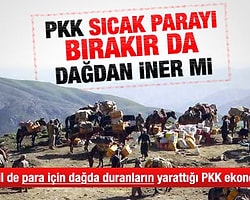 Abdülkadir Selvi PKK'nın Ekonomik Boyutunu Yazdı
