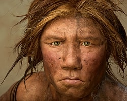 Neandertalleri Doğuracak Anne Arıyor