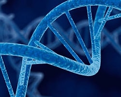 Dijital Bilgi Dna İçinde Saklanabilir