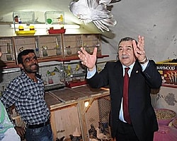 'Güneydoğu'da Barış Güvercinleri Uçurtacağız'