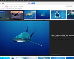 Google Görseller Yenilendi