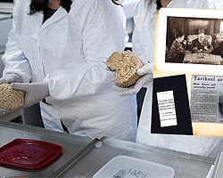 Atatürk Zamanında 64 Bin Kafatası Fişlenmişti