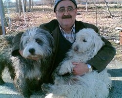 35 Yıllık Memurun Köpek Yüzünden Lojmandan Çıkarıldığı İddiası