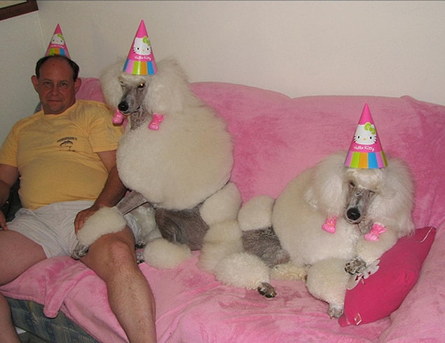 46. Party Hard!