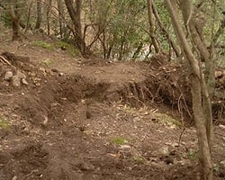 'Kuşadası Milli Parkı'ndan En Az 50 Ceset Çıkar'