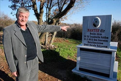 Ölen Kedisi İçin Tarla Alıp Mezar Yaptırdı