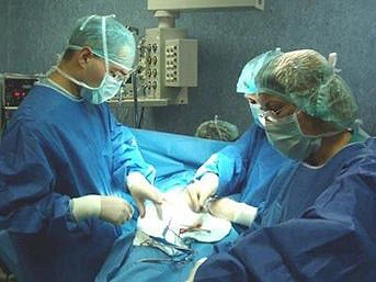 İnsanların Cevaplarını Merak Ettiği İlginç Sorular