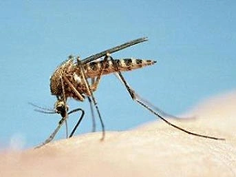 İnsanların Cevaplarını Merak Ettiği İlginç Sorular