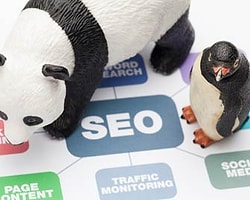 2013’Te Seo Alanında Öngörülen Değişimler