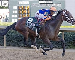 Kentucky Derby'de Son Viraj Dönüldü