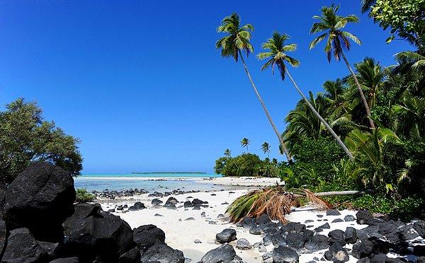 13- Cook Adaları, Polonezya