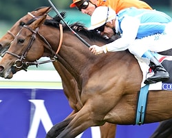 Longchamp G1 Koşularda Zafer Silasol ve Maxios'un