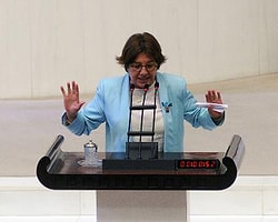 TBMM'de 'Salyalı' Gezi Kavgası