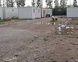 Van'da Konteyner Kentler Boşaltılıyor