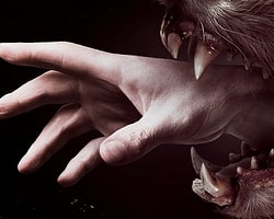 Hemlock Grove'a 2. Sezon Onayı Geldi
