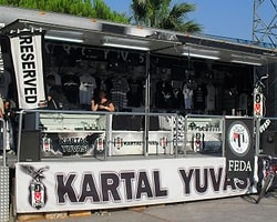 Kartal Yuvası Bingöl'de