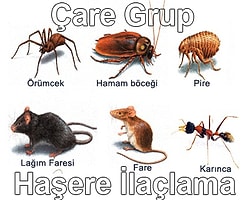 Çare Grup Haşere İlaçlama