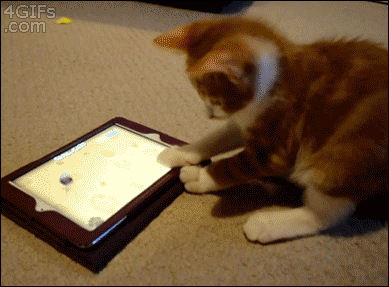 s-5b13e17c0a177eac5e9bba555f5714352199eb2b.gif