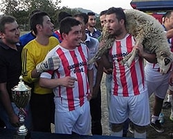 Kupa Yerine, Koyun ve Kuzu Kaldırdılar