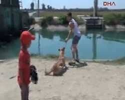 Sokak Köpeğine Zincirli Eziyet!
