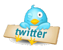Twitter'da En Etkili 4. Büyükelçi Bir Türk Cnntürk Hızlı Haber