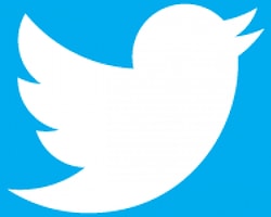 Gezi Parkı Eylemleri Twitter'ın Üye Sayısını Nasıl Etkiledi?