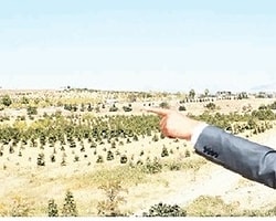 Atatürk'ün Mirası Üzerine Stadyum