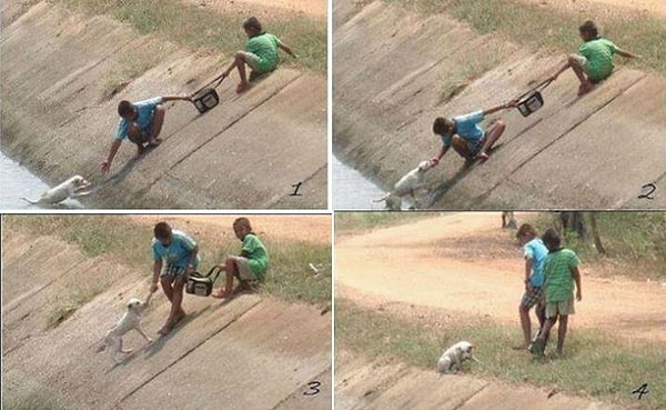 10. Дети, которые с помощью сумки спасли собаку, упавшую в канаву