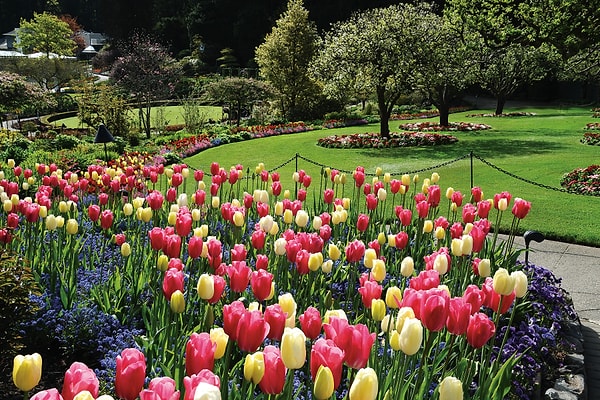 Butchart Gardens – Kanada