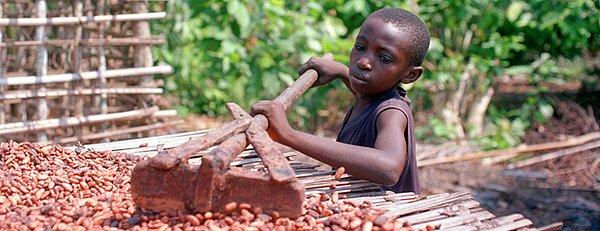 7. Dünyanın en büyük kakao üreticisi ve tükettiğimiz bir çok markanın müşterisi olduğu Fildişi Sahili, çocukların da en çok sömürüldüğü ülke.